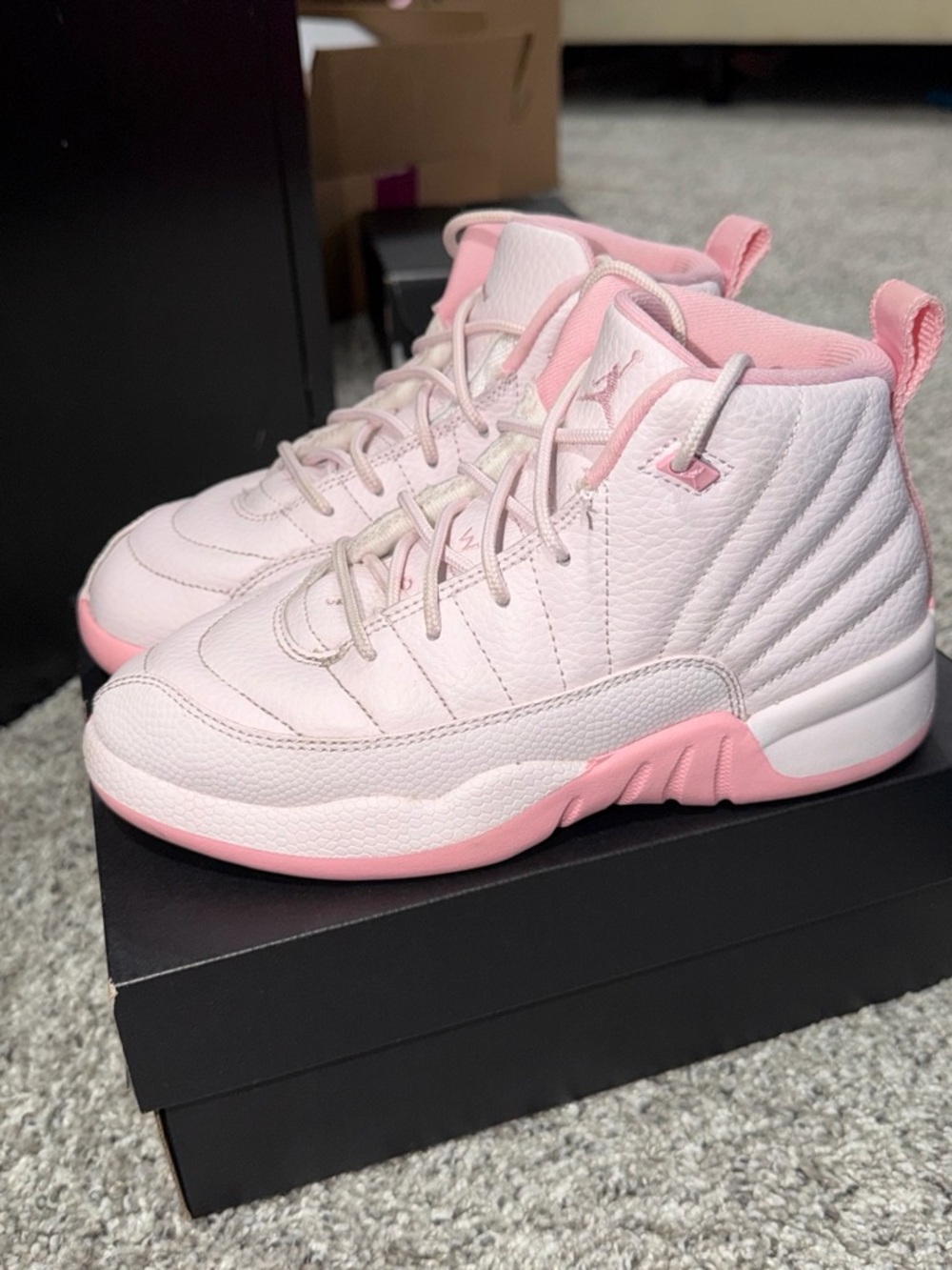 Jordan Retro 12s